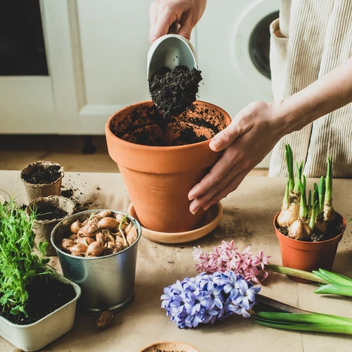 Aktivní kokosové uhlí pro rostliny 0,9 L - 7