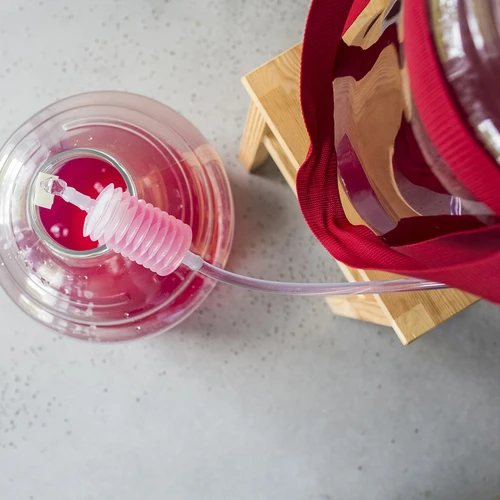 Balón na víno lehký, nerozbitný, s popruhy, 25 L - 18