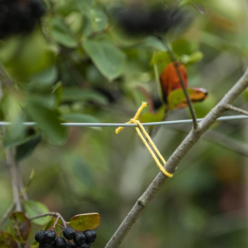 Bavlněný provázek žlutý 2 mm/55 m/100 g - 7