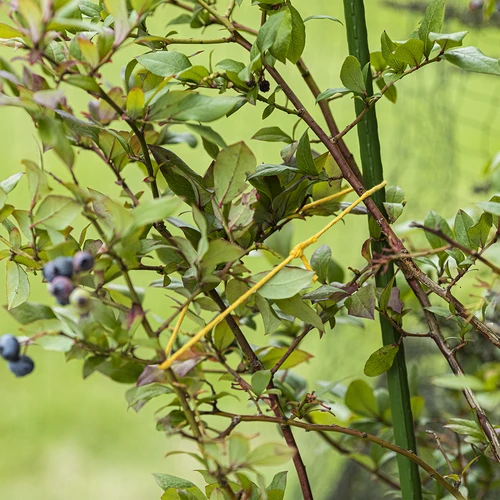 Bavlněný provázek žlutý 2 mm/55 m/100 g - 8