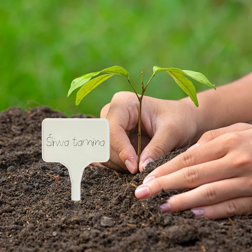 Cedulky na popis rostlin + tužka mix 10+20 ks - 10