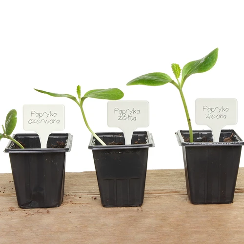 Cedulky na popis rostlin + tužka mix 10+20 ks - 12