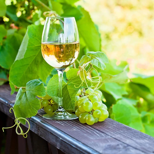 Enovini® OK WHITE - vinařské kvasnice snižující kyselost 7 g - 10