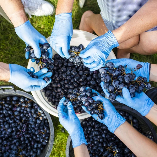 Fermentační nádoba s víkem 30 L - 17