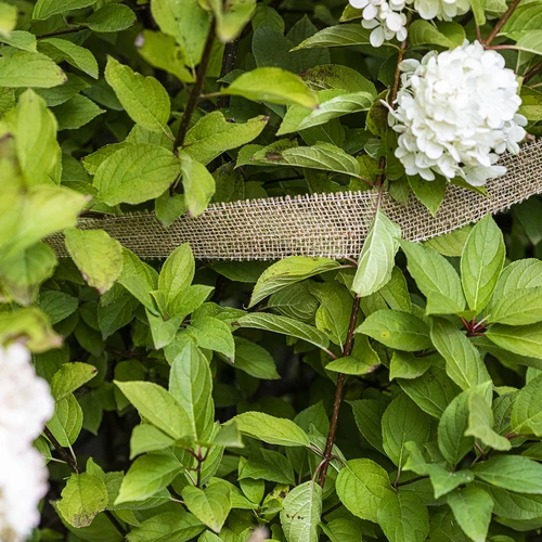 Jutová páska 5 cm / 8 m - 5