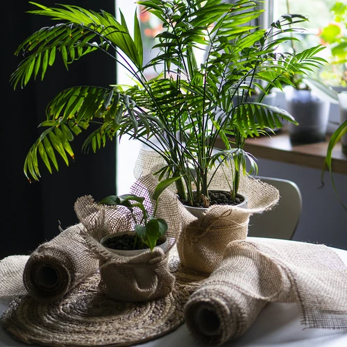 Jutová páska 5 cm / 8 m - 8