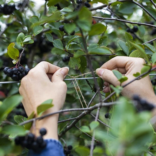 Jutový provázek 1,5 mm/100 m/100 g - 8