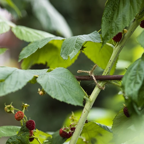 Jutový provázek 2 mm/235 m/500 g - 9