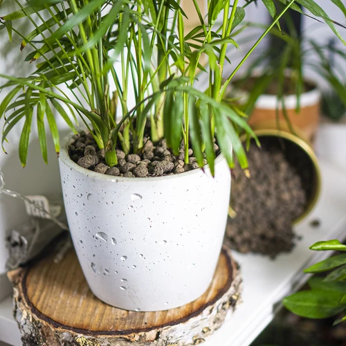 Keramzit pro pokojové rostliny, zahradnictví a lesy ve skle 10–20 mm, 4L - 11