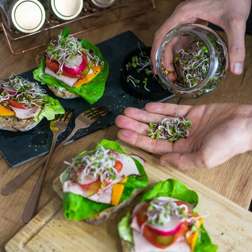 Klíčidlo ve sklenici Twist-off + 5 balení semen - 12