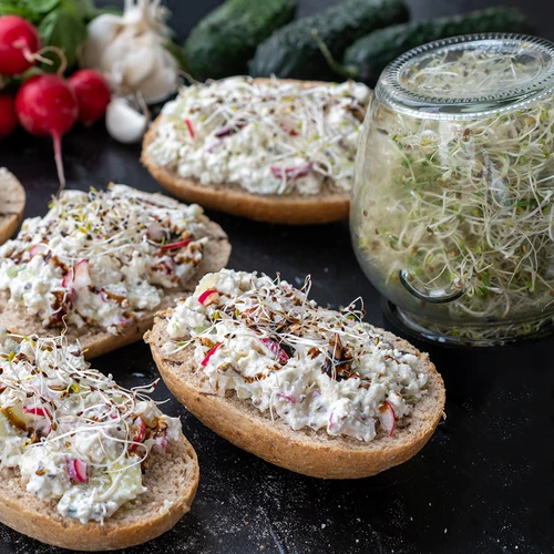 Klíčidlo ve sklenici Twist-off + 5 balení semen - 10