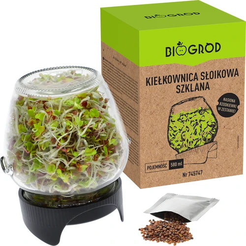 Klíčidlo ve sklenici Twist-off s semeny ředkvičky - 5