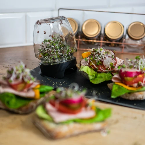 Klíčidlo ve sklenici Twist-off s semeny ředkvičky - 11