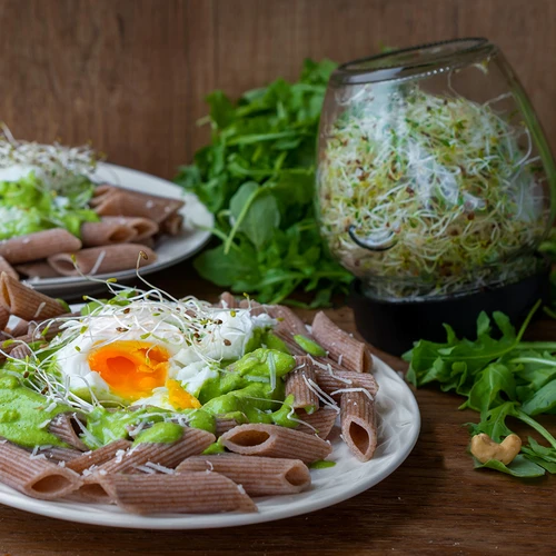 Klíčidlo ve sklenici Twist-off s semeny ředkvičky - 15