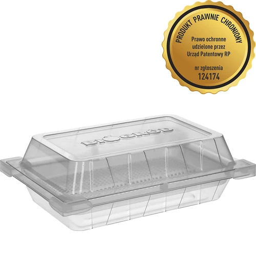 Klíčkovnice Zelená Čupřinka se semeny ředkvičky - 2