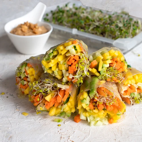 Klíčkovnice Zelená Čupřinka se semeny ředkvičky - 12