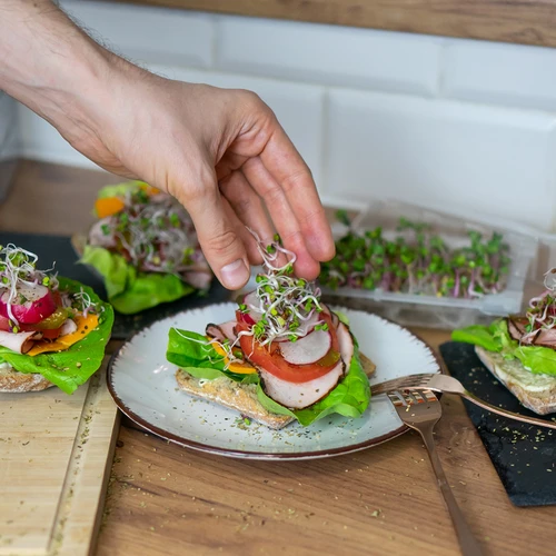 Klíčkovnice Zelená Čupřinka se semeny ředkvičky - 11