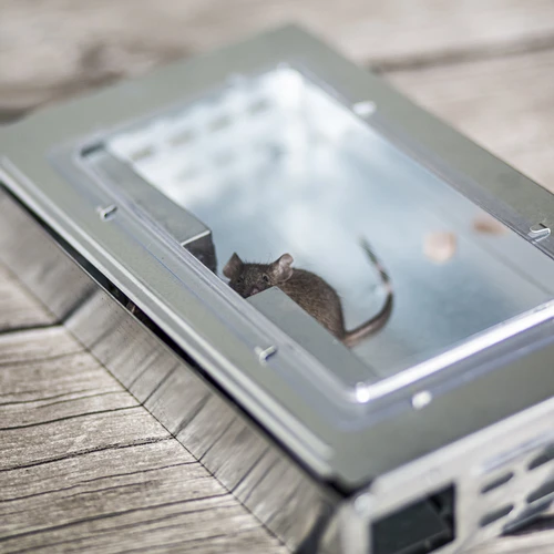 Kovová past na myši - živolapka - 8