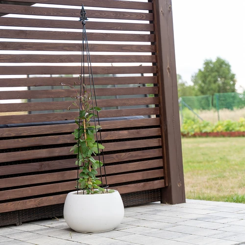 Kovová pergola - Pyramida, 135 cm - 4