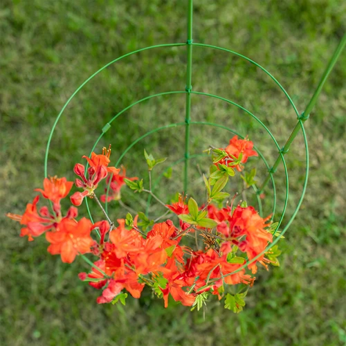 Kruhová podpora pro rostliny 4 kruhy 1m - 5