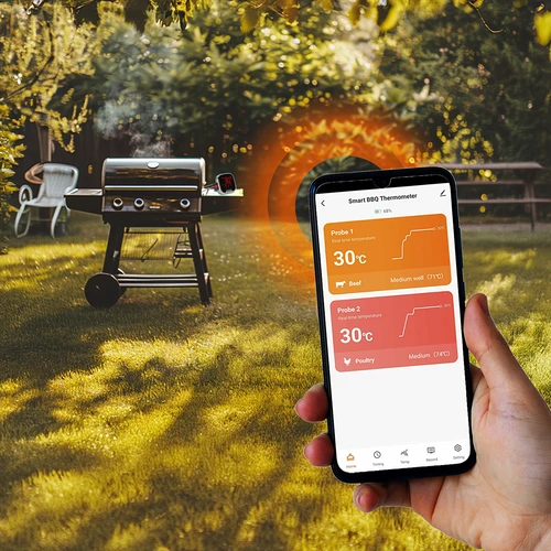 Kuchyňský teploměr s Bluetooth, 2 sondy - 12