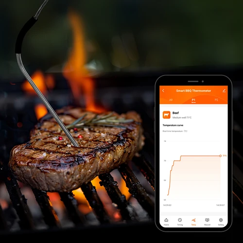 Kuchyňský teploměr s Bluetooth, 2 sondy - 13