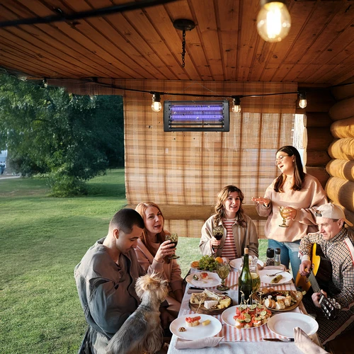 Lampa na hubení hmyzu UVA 20 W, černá - 9