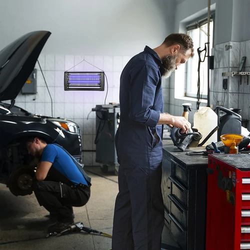 Lampa na hubení hmyzu UVA 20 W, černá - 11