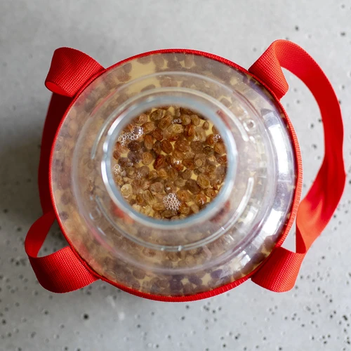 Lehký, nerozbitný balon na víno s popruhy, 10 L - 18