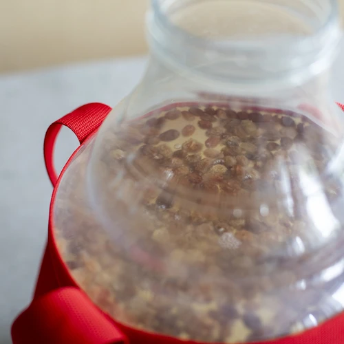 Lehký, nerozbitný balon na víno s popruhy, 10 L - 17