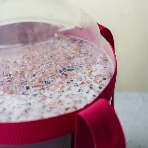 Lehký, nerozbitný balon na víno s popruhy, 20 L - 17