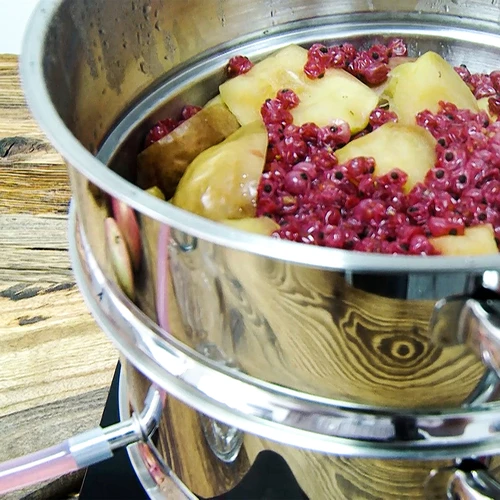 Nerezový odšťavňovač s parním hrncem 5 L - 17