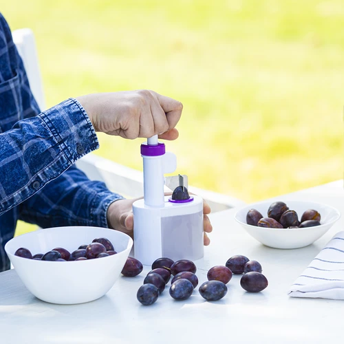 Odpeckovač na švestky - 3