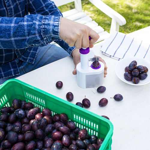 Odpeckovač na švestky - 4