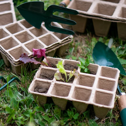 Papírové květináče 4 x 4 x 4,5, sada 5 ks. - 6