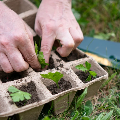Papírové květináče 6 x 6 x 6, sada 5 ks. - 6