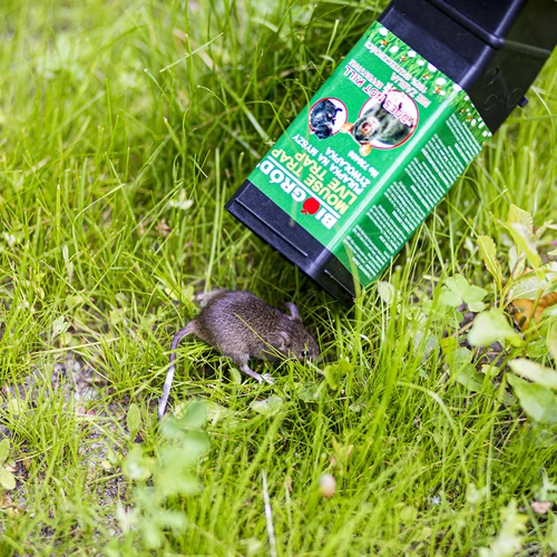 Past na myši - živolapka - 10