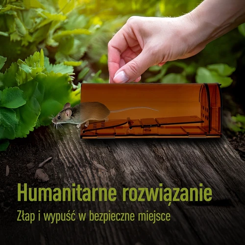 Past na myši – živolovka, transparentní, 2 ks. - 7