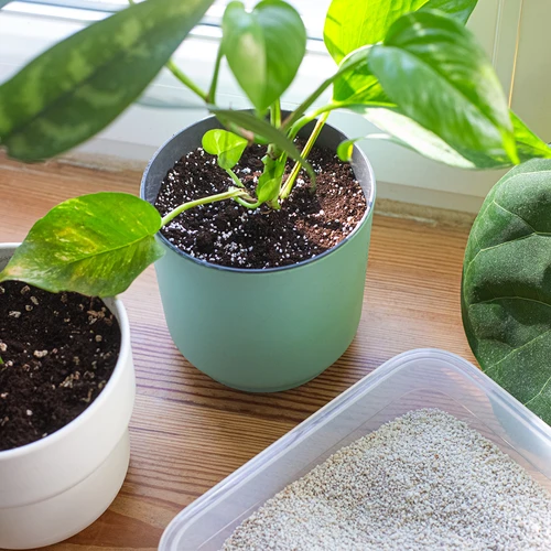 Perlit pro pokojové rostliny a zahradnictví, 2L - 8