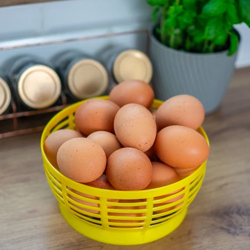 Plastový košík pro Dam 5L, žlutý - 8