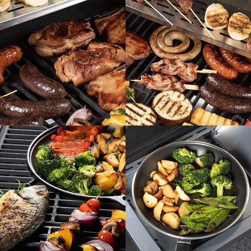 Plynový gril dragON BBQ201, 18,8 kW, stříbrný - 11