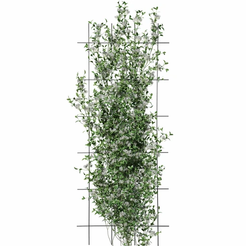 Podpěra pro rostliny - mříž (150cm x 60cm) 3 kusy - 3