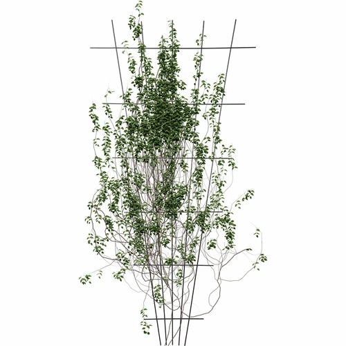 Podpora pro rostliny - mříž (150cm x 75cm) 2 kusy - 3