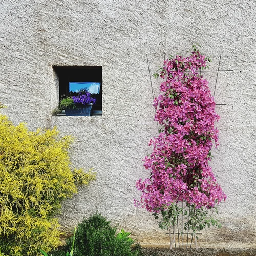 Podpora pro rostliny - mříž (150cm x 75cm) 2 kusy - 4