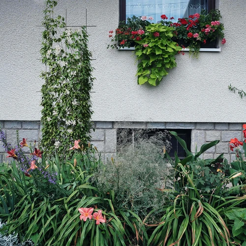 Podpora pro rostliny - zahradní mřížka 150 x 45cm - 4