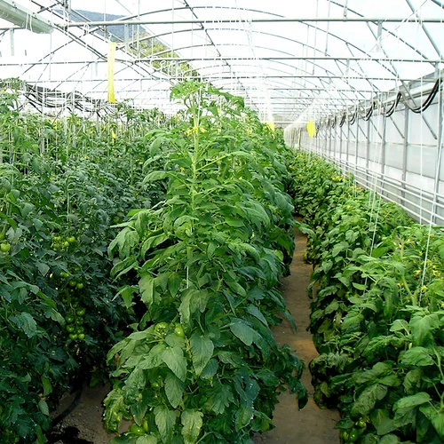 Polypropylenový provázek 1 mm/65 m/50 g - 5