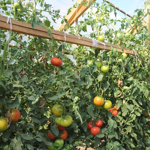 Polypropylenový provázek 1 mm/65 m/50 g - 7