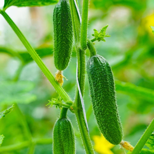 Polypropylenový provázek 1 mm/65 m/50 g - 6