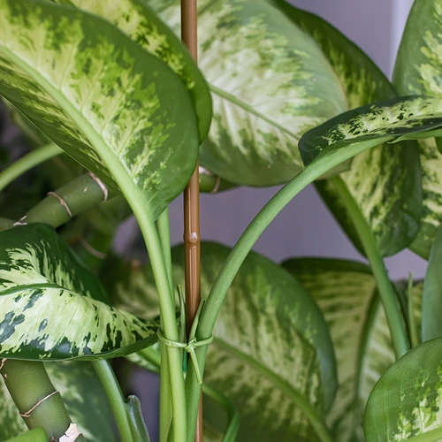 Potažená ocelová tyčka ve tvaru bambusu, 180 cm x 11mm - 4