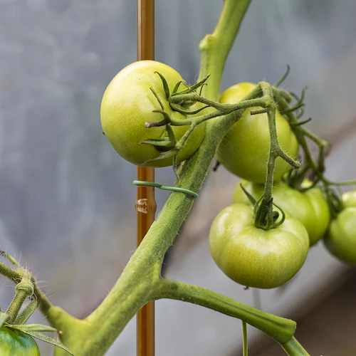 Potažená ocelová tyčka ve tvaru bambusu, 90 cm x 8 mm - 5